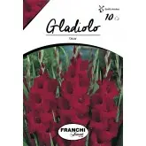 Bulbi gladiola grandiflora Oscar, 10 bulbi