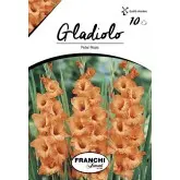 Bulbi gladiola grandiflora Peter Pears, 10 bulbi