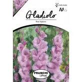 Bulbi gladiola grandiflora Rose Supreme, 10 bulbi