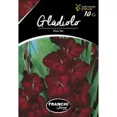 Bulbi gladiola speciala Black Star, 10 bulbi