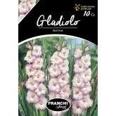 Bulbi gladiola speciala Blue Frost, 10 bulbi