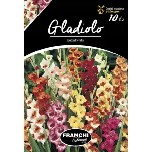 Bulbi gladiola speciala Butterfly Mixtura, 10 bulbi