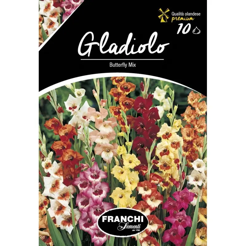 Bulbi gladiola speciala Butterfly Mixtura, 10 bulbi