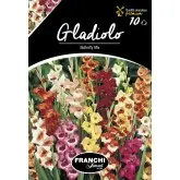 Bulbi gladiola speciala Butterfly Mixtura, 10 bulbi