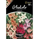 Bulbi gladiola speciala Colvilli Nani Mixtura, 10 bulbi