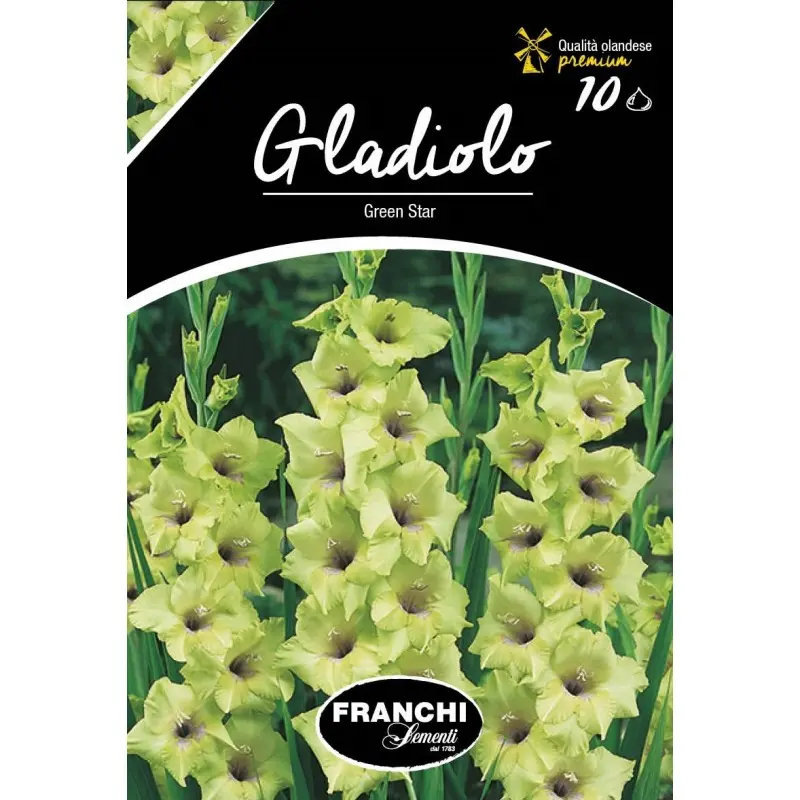 Bulbi gladiola speciala Green Star, 10 bulbi