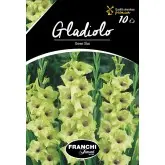 Bulbi gladiola speciala Green Star, 10 bulbi