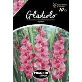 Bulbi gladiola speciala Invitation, 10 bulbi