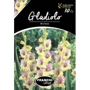 Bulbi gladiola speciala Mon Amour, 10 bulbi