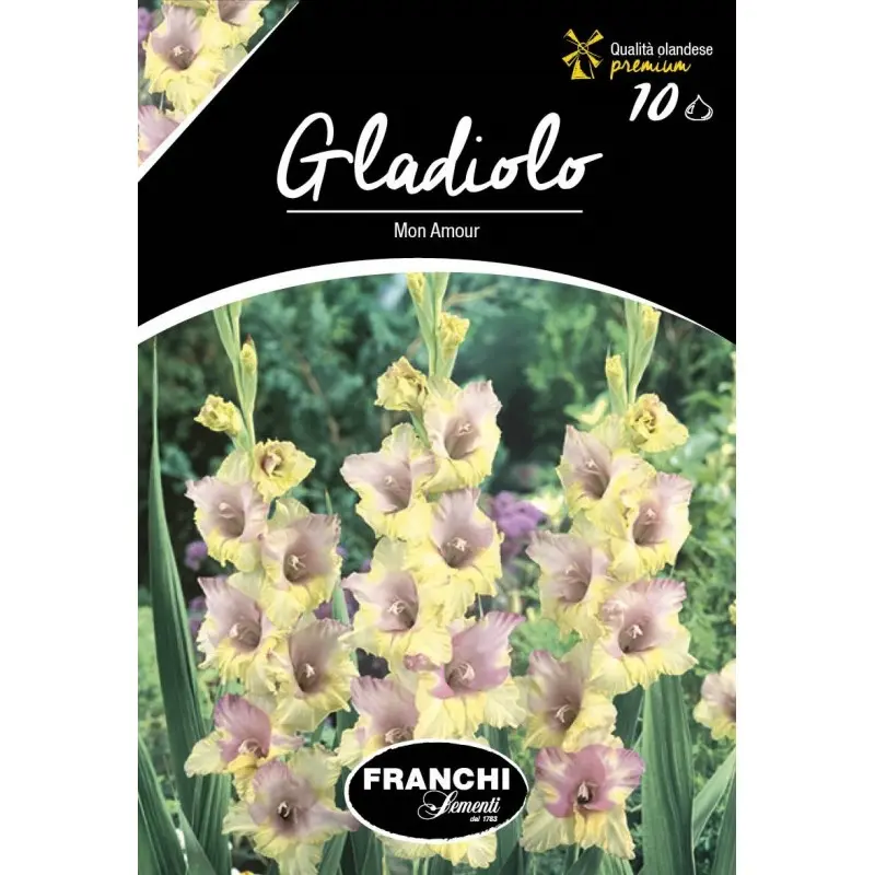 Bulbi gladiola speciala Mon Amour, 10 bulbi