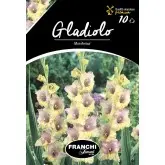 Bulbi gladiola speciala Mon Amour, 10 bulbi