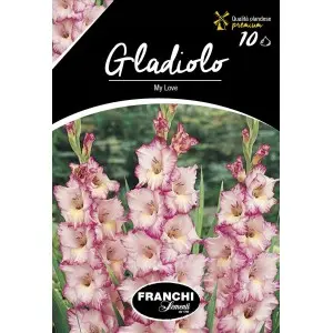 Bulbi gladiola speciala My Love, 10 bulbi