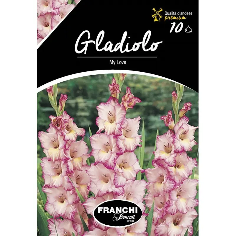 Bulbi gladiola speciala My Love, 10 bulbi