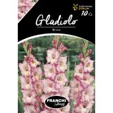 Bulbi gladiola speciala My Love, 10 bulbi