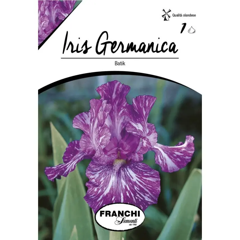 Bulbi iris germanica Batik, 1 bulb