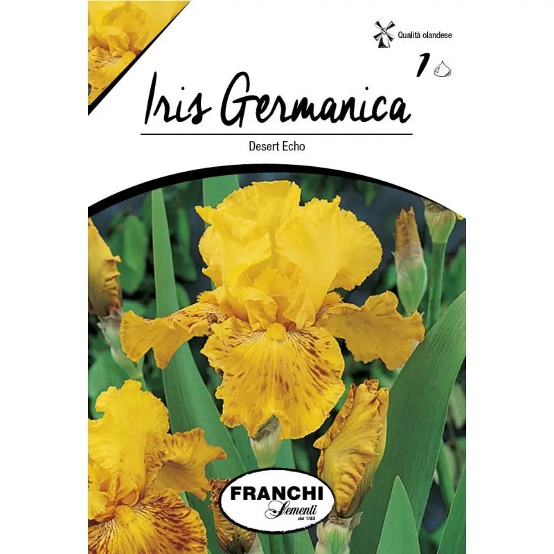 Bulbi iris germanica Desert Echo, 1 bulb