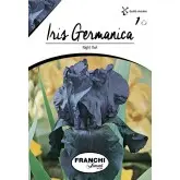 Bulbi iris germanica Night Owl, 1 bulb