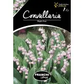 Rizomi lacramioare Majalis Rosa, 1 bulb