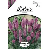 Bulbi liatris Spicata Lilla, 5 bulbi