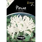 Bulbi nerine Bodwenii Alba, 2 bulbi