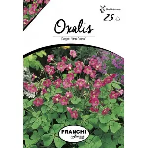 Bulbi oxalis Deppei Iron Cross, 25 bulbi