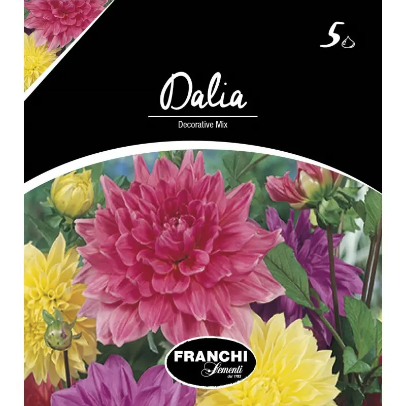 Bulbi dalia decorativa Mixtura, 5 bulbi