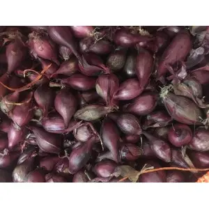 Arpagic rosu Red Baron, calibru 14/21, sac 0,5 kg