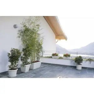 Jardiniera Terrae cu farfurie atasata