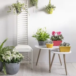 Jardiniera My Mood Mini