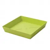 Farfurie patrata Export