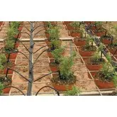 Ciuperca de picurare Click Tif PC