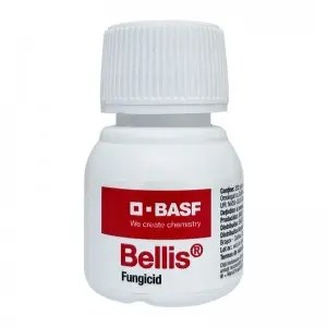 Fungicid Bellis