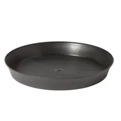 Farfurie rotunda Export