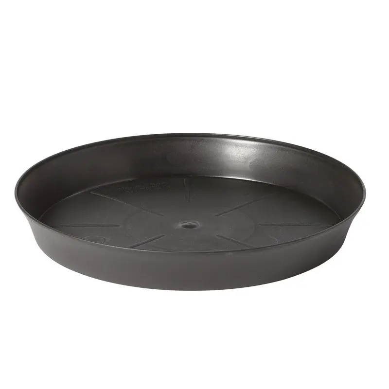 Farfurie rotunda Export