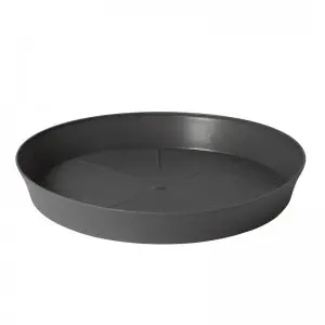 Farfurie rotunda Export
