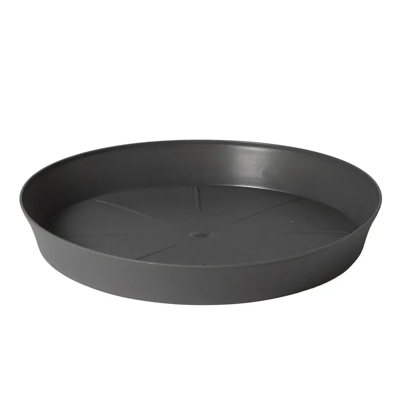 Farfurie rotunda Export