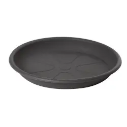 Farfurie rotunda Omnia