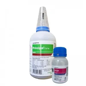 Pachet erbicid Principal Forte + adjuvant Vivolt