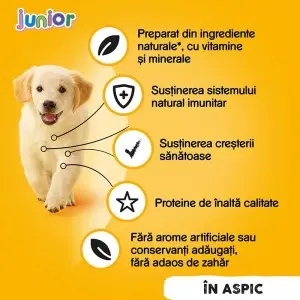 Pedigree Junior hrana umeda la conserva pentru caini juniori cu pui in aspic, 400 g
