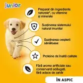 Pedigree Junior hrana umeda la conserva pentru caini juniori cu pui in aspic, 400 g