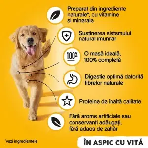 Pedigree hrana umeda la conserva pentru caini adulti cu bucati de vita in jeleu 1200 g