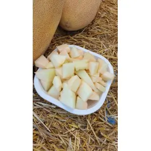 Seminte pepene galben Rachel F1