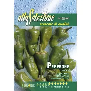 Seminte ardei semi-iute Padron Alta Selezione