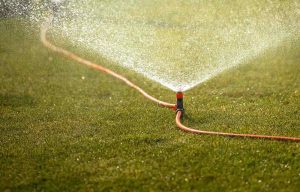 Secretele unei Peluze Perfecte: intretinerea gazonul toamna