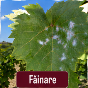 Fainare