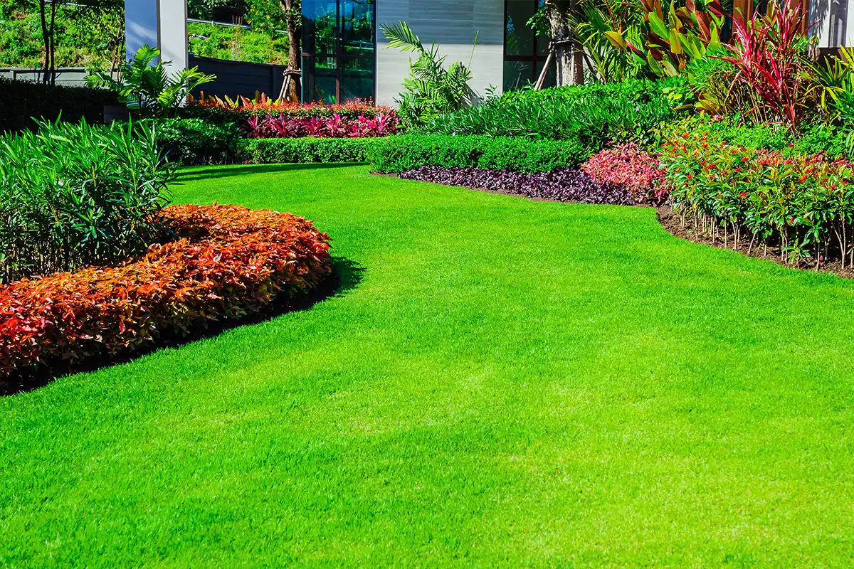 Produse pentru gazon