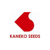 Kaneko seeds