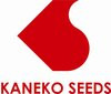 Kaneko seeds